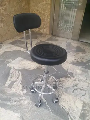 Lab Stool High Quality Working Stool Chair With Backrest