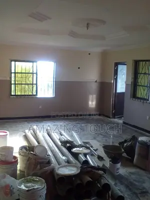 House Painting and Wall Screeding