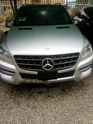 Mercedes-Benz M Class 2014 Silver