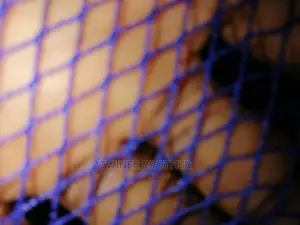 Net to Cover Football Post
