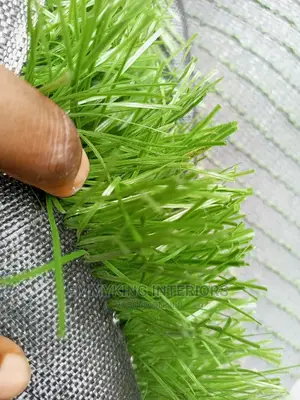 Artificial Grass