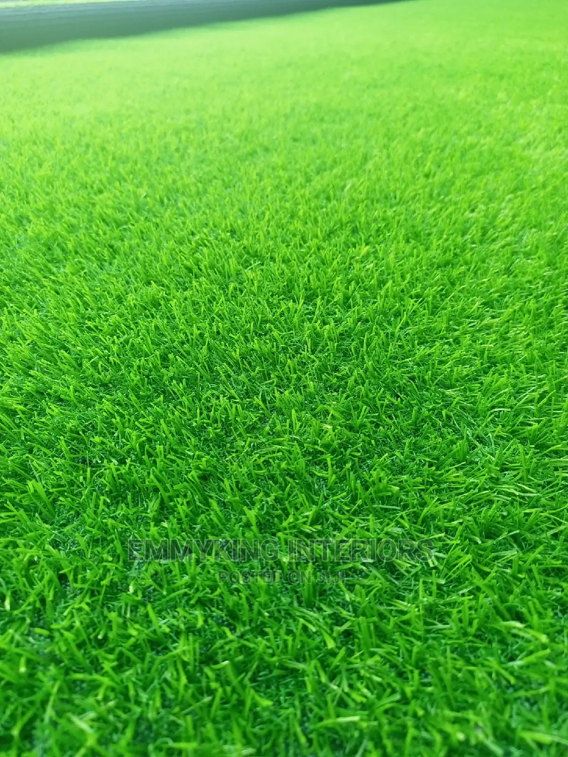 25mm Artificial Grass