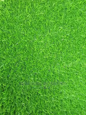 25mm Artificial Grass