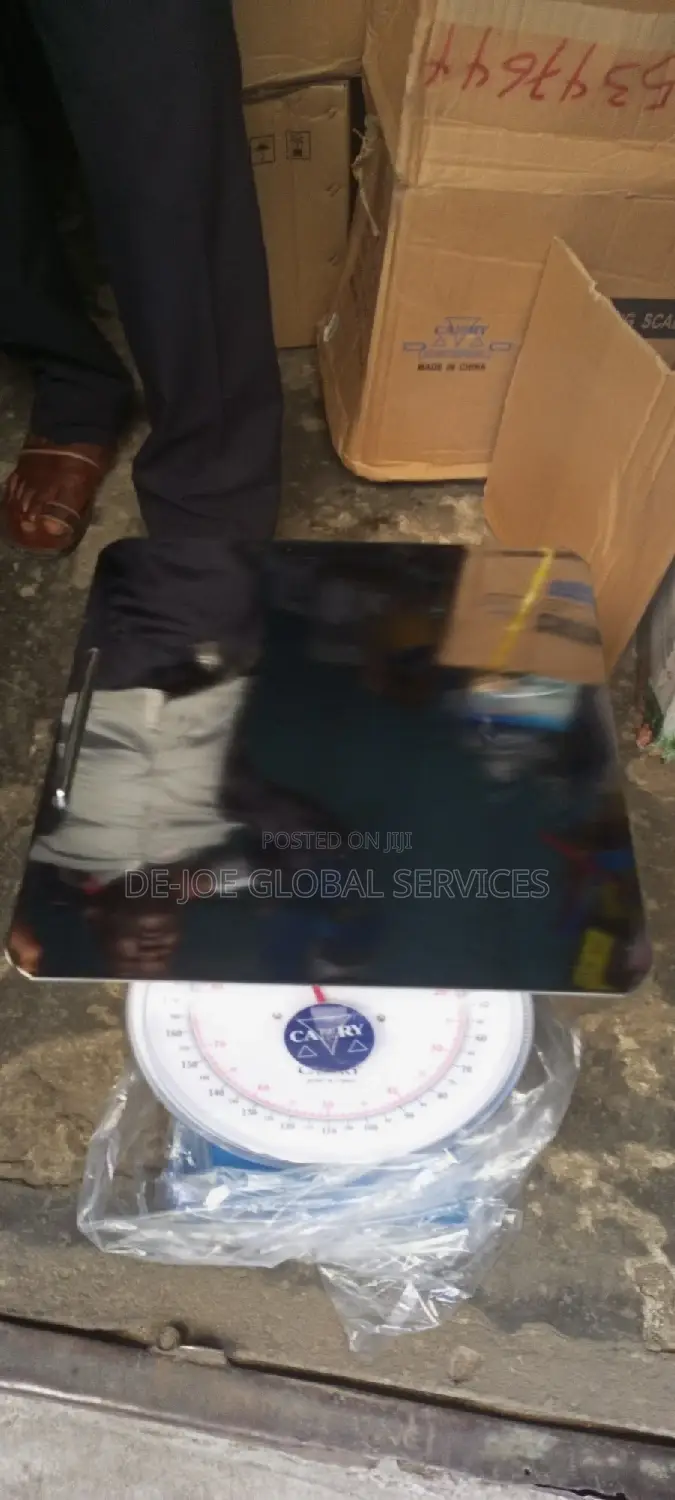 100kg Spring Scale ( Camry )