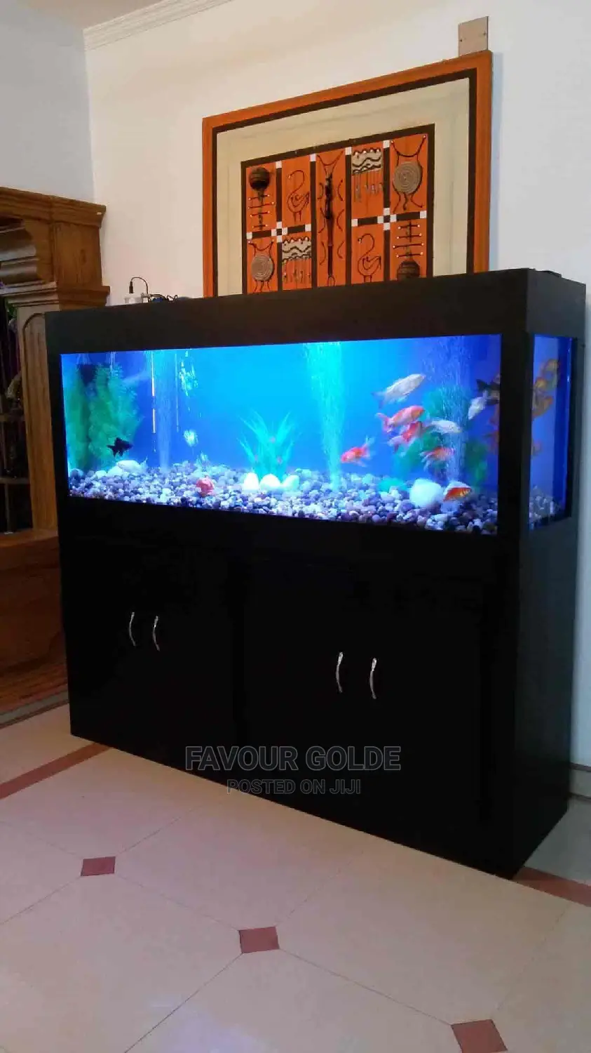 Living Room Aquarium