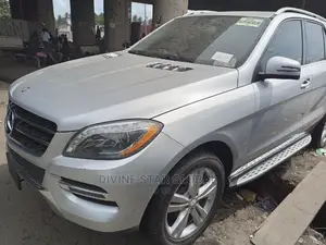 Mercedes-Benz M Class 2014 Silver