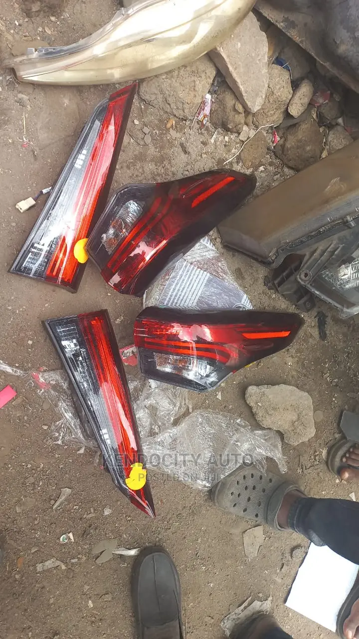 Highlander Backlight, 2020 Model
