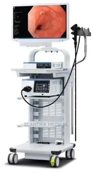 Endoscopy Video Gastrointestinal Endoscopy