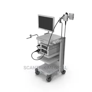 Digestive Endoscopy Gastroscope System