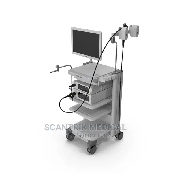 Digestive Endoscopy Gastroscope System