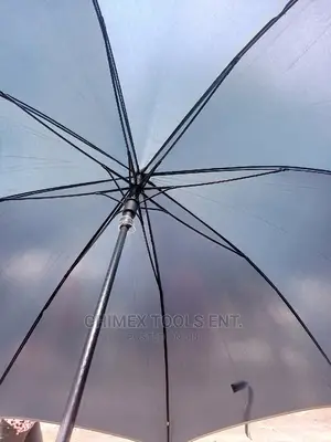 Home Umbrella for Rain