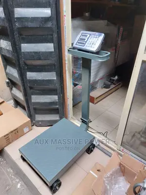 500kg Moveable Wealing Scale