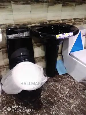 Egg Shaped Water Closets With Stand Alone Basin.