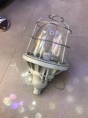Industrial Dropped Pendant Light
