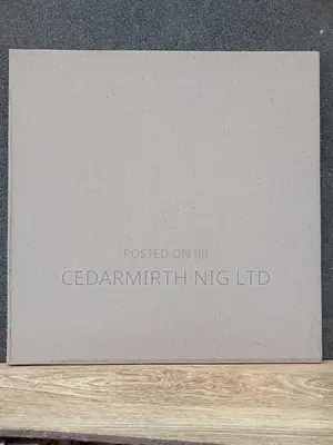 Plain Grey Floor Tile