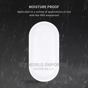 Oval IP65 Waterproof Outdoor Lamp