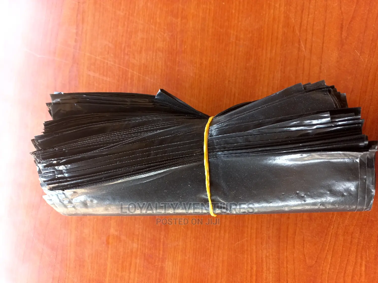 Seedling Nylons Available With Different Sizes