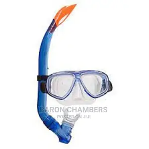 Snorkel Mask