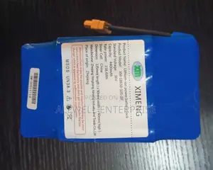 Hoverboard Battery