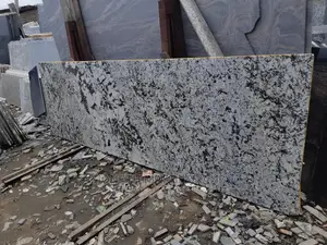 Indian Alaska White Granite Slab