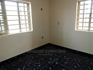 Professional Home Cleaning With Modern Cleaning Tools