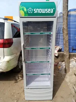 Fridge Upright Cooler