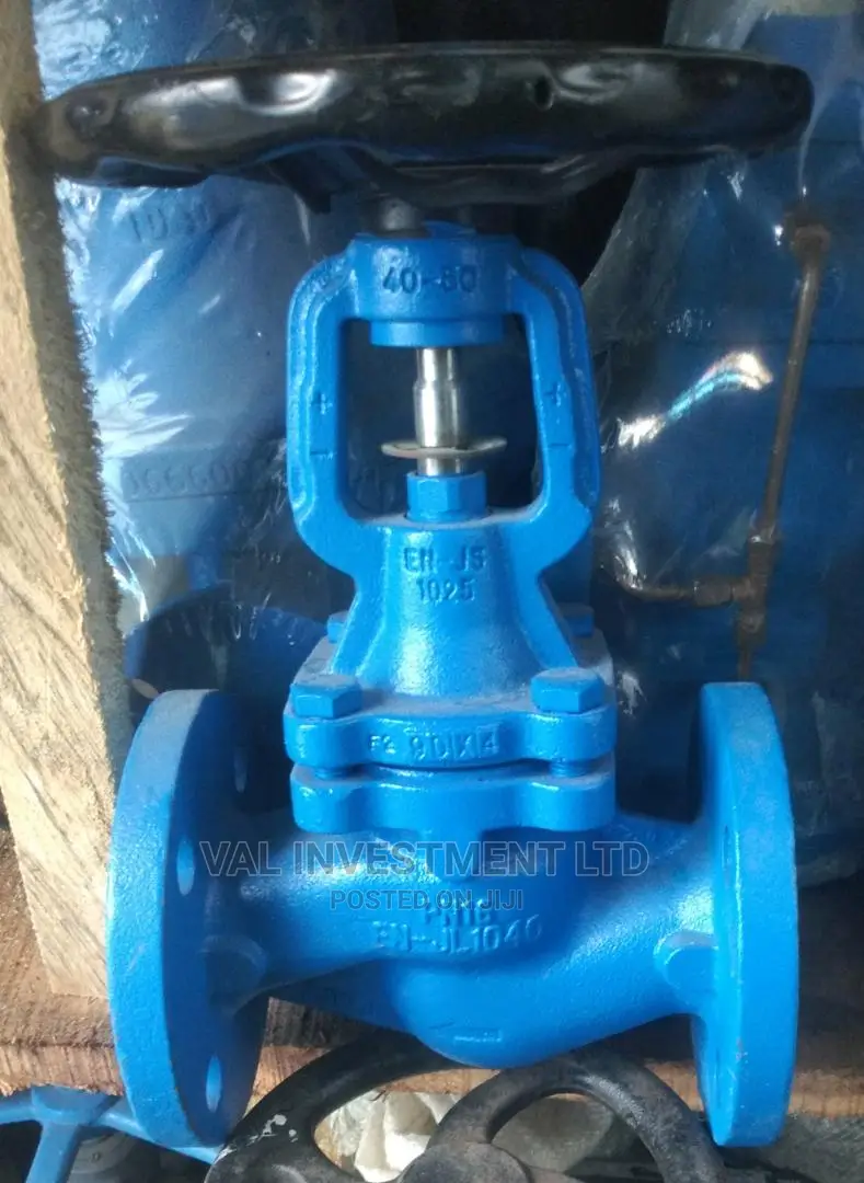 Spirax Cycle Globe Valve DN 50
