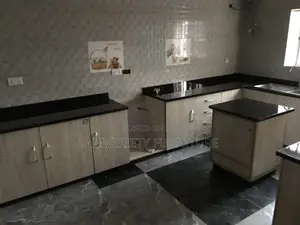 Economic Professional Kitchen Cabinets
