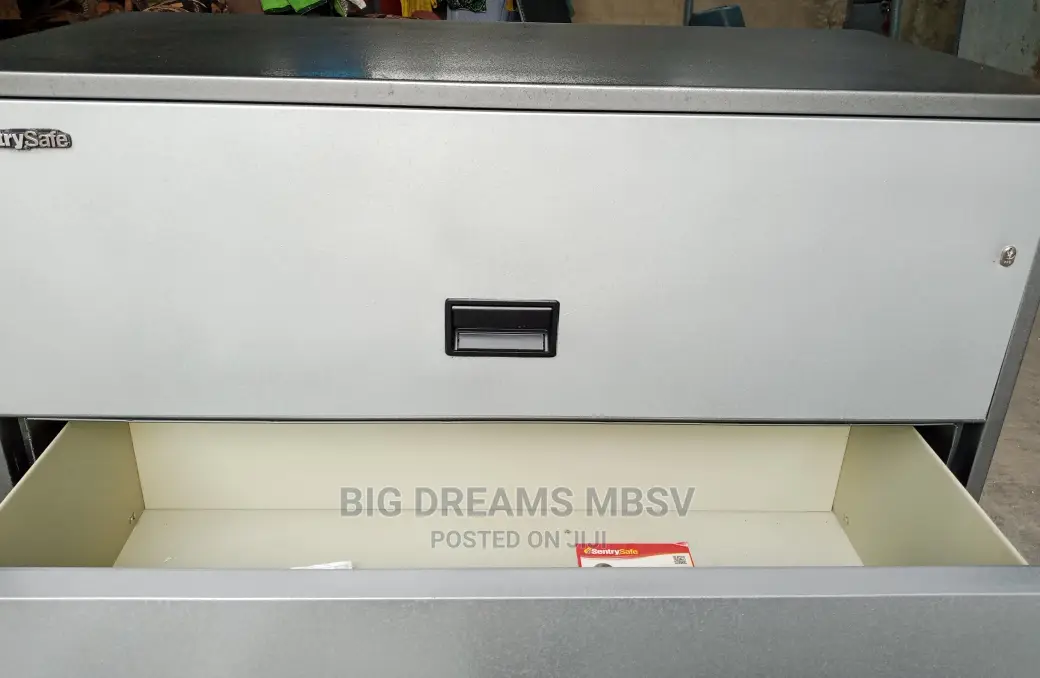 Sentry Wide 2door Safe