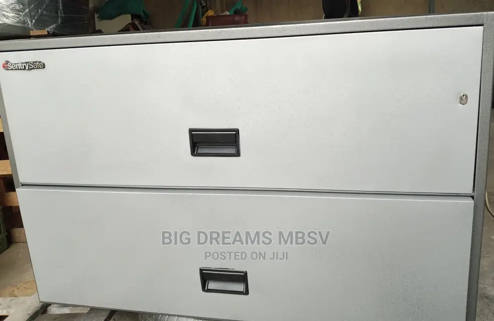 Sentry Wide 2door Safe