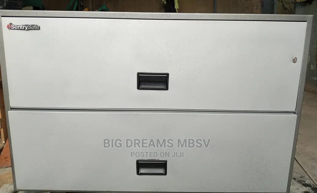 Sentry Wide 2door Safe