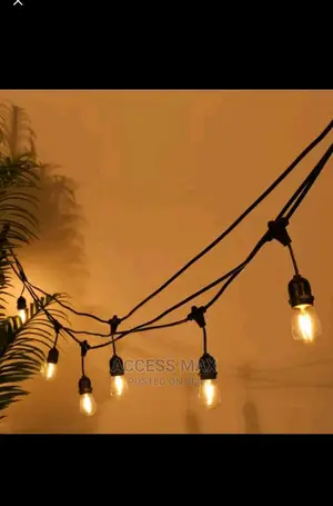 Rop Light 10 Bulbs