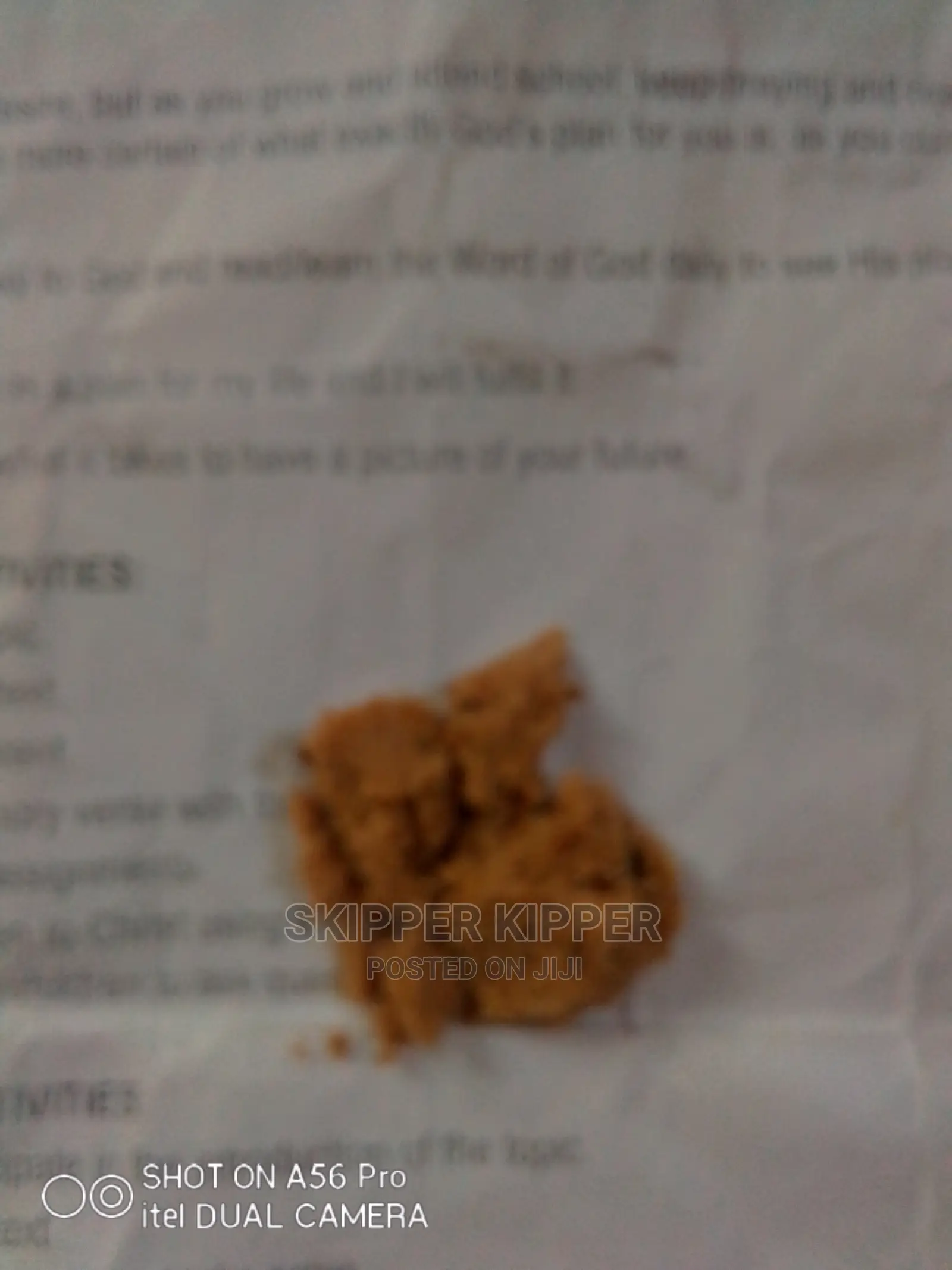 100 Grams of Black Soldier Fly Egg