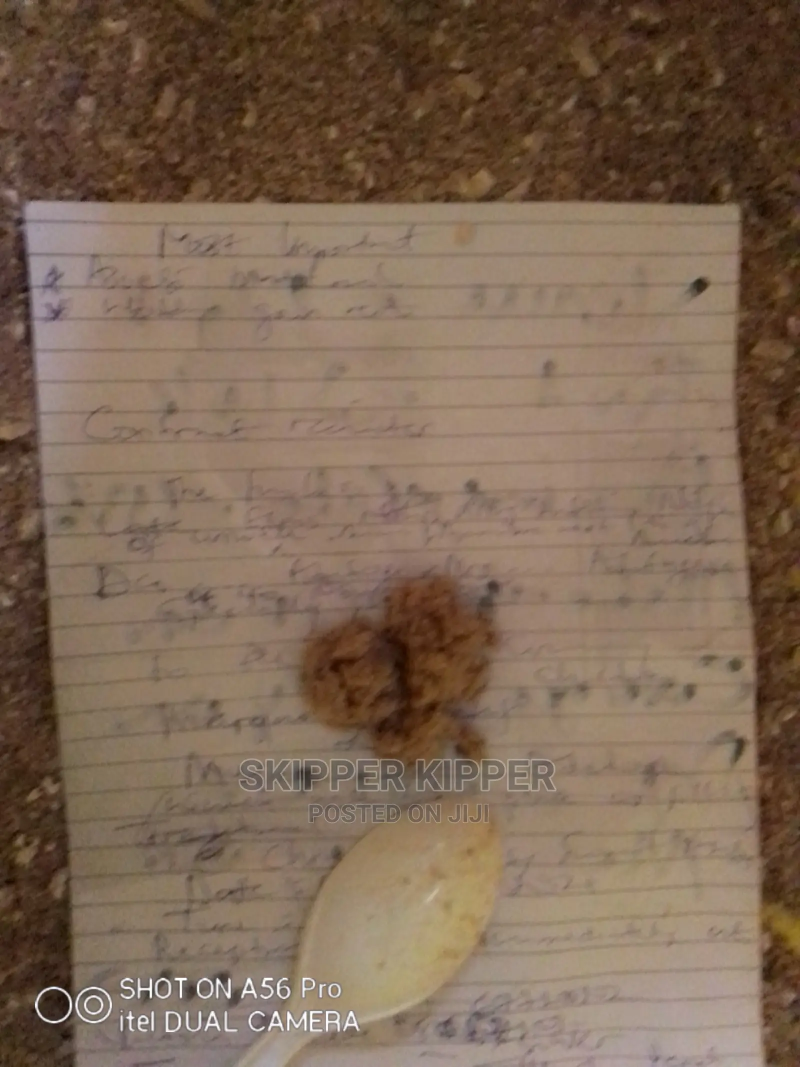 100 Grams of Black Soldier Fly Egg
