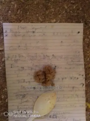 100 Grams of Black Soldier Fly Egg