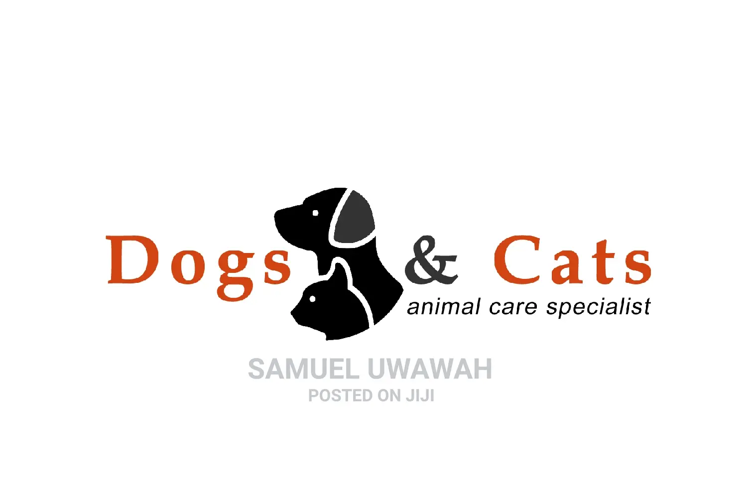 Logo Design, Company Profile, Write Proposal & Business Plan
