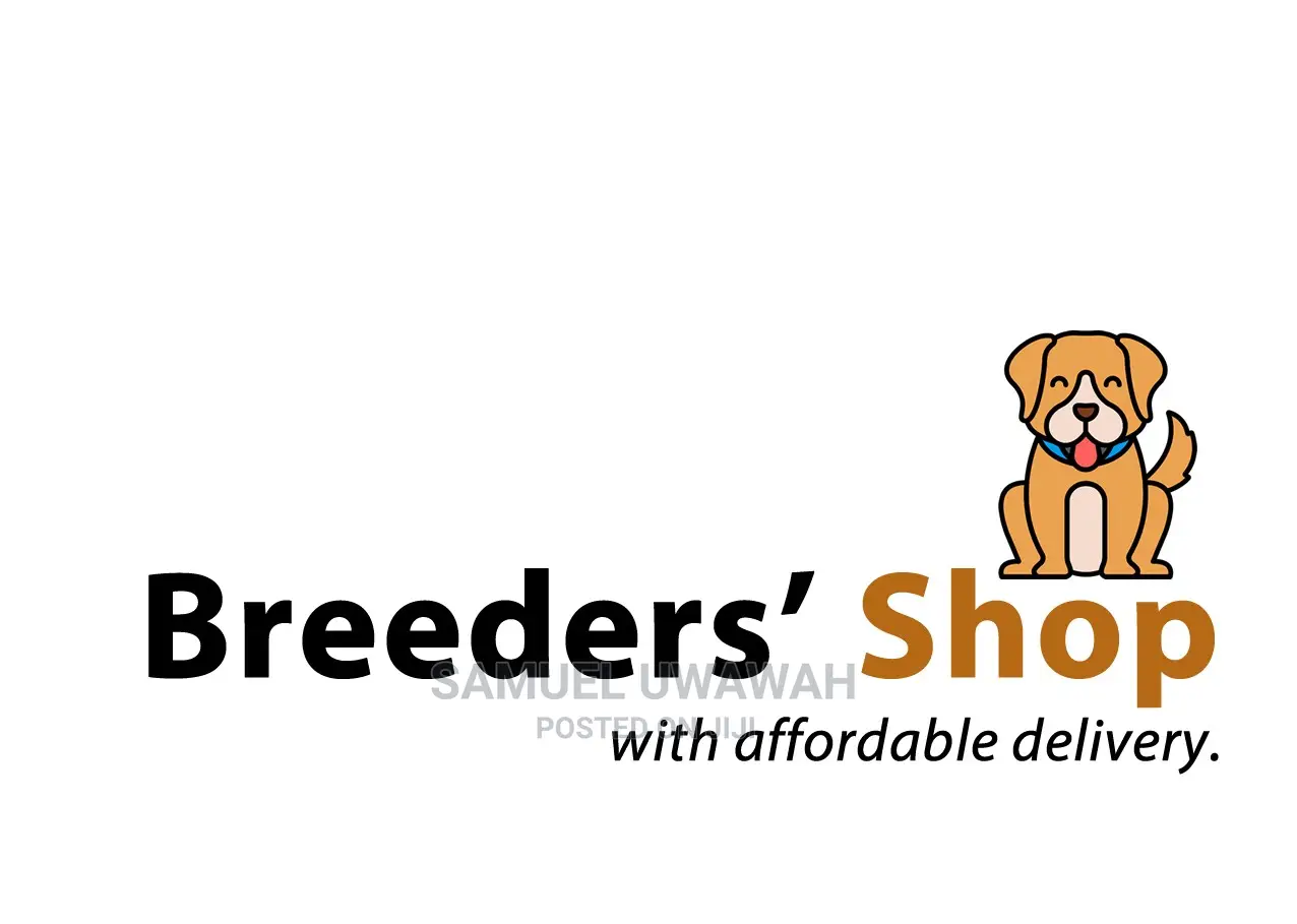 Logo Design, Company Profile, Write Proposal & Business Plan