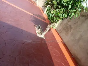 Best of All Flooring