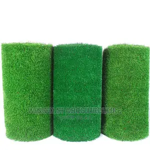 Grass Carpet at Ejico Sports