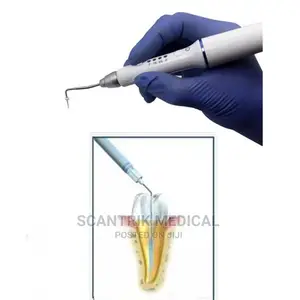 High Quality Medical Dental Gutta Percha