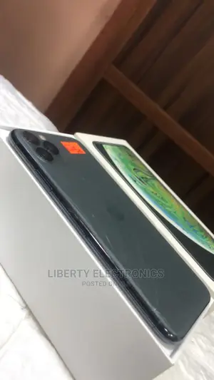 Apple iPhone 11 Pro Max 64 GB Gray