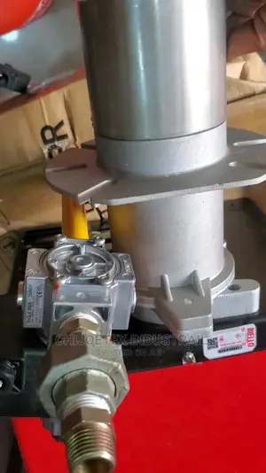 Riello FS10 Gas Burner