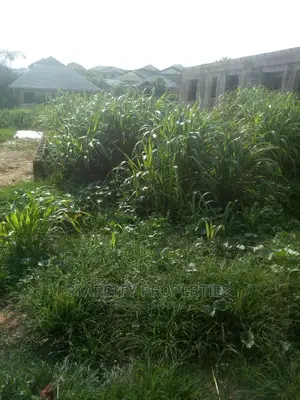 Cheap Plots of Land Available in Araromi Town, Ado Odo Ota