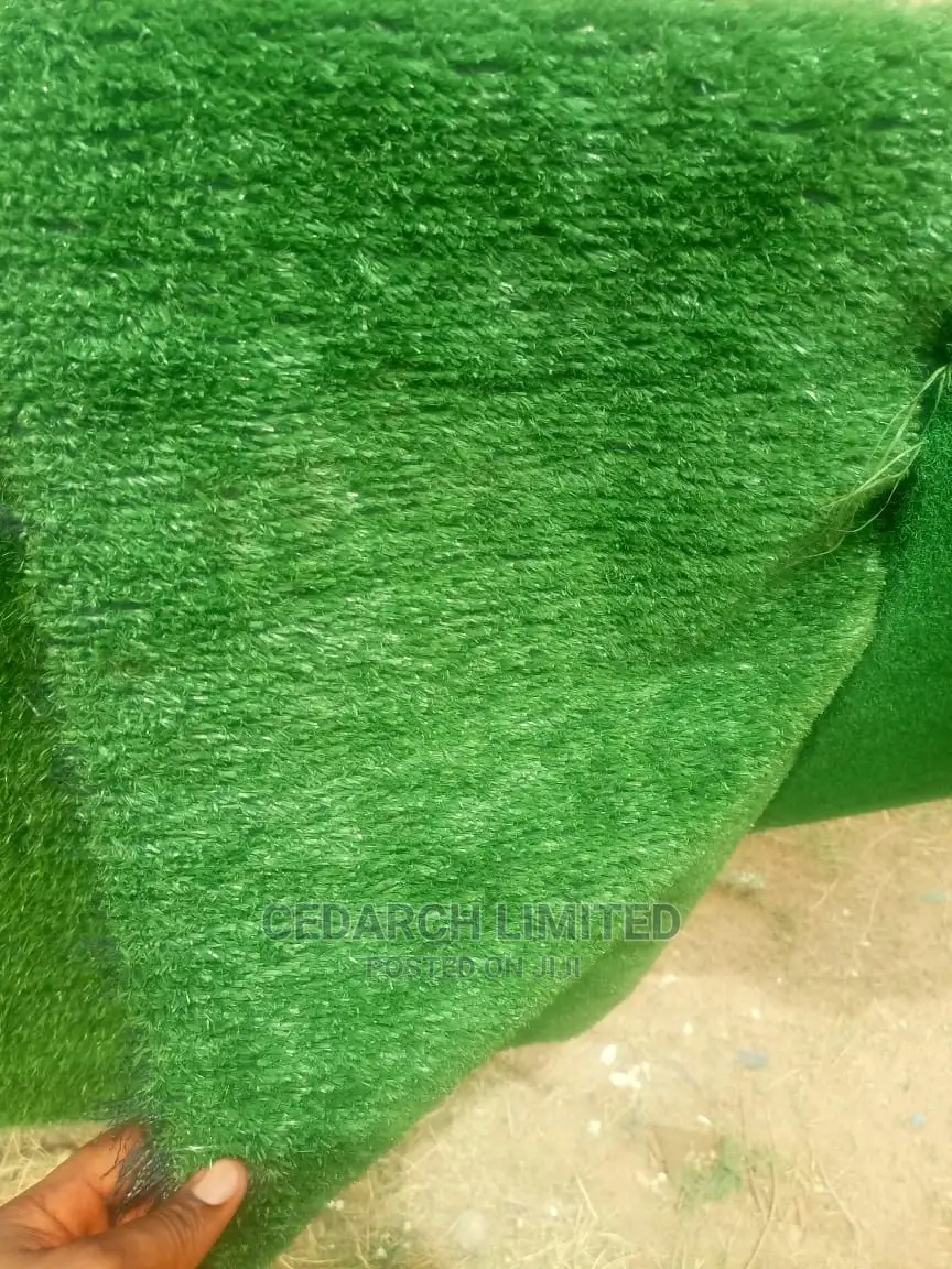 Carpet Grass