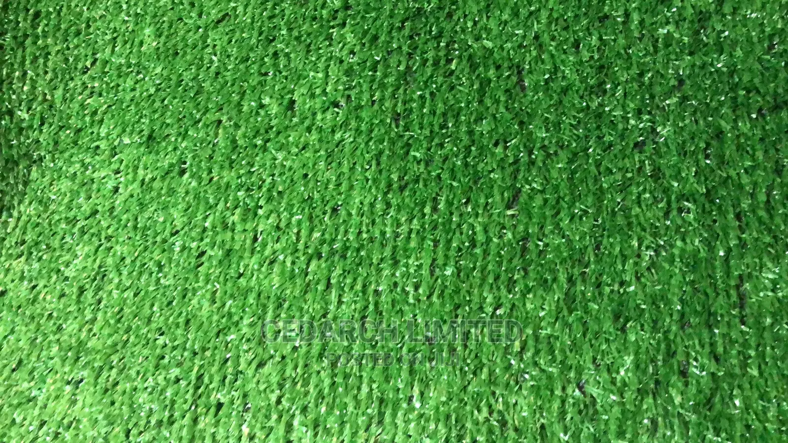 Carpet Grass