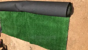 Carpet Grass