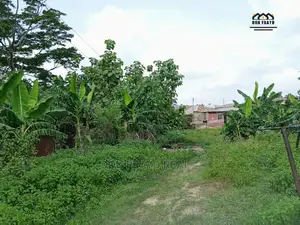 Fishery Farm on 3 Plots for Sale at Oluwo After Iyana Agabla