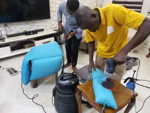 Professional Sofa and Couch Cleaners.
