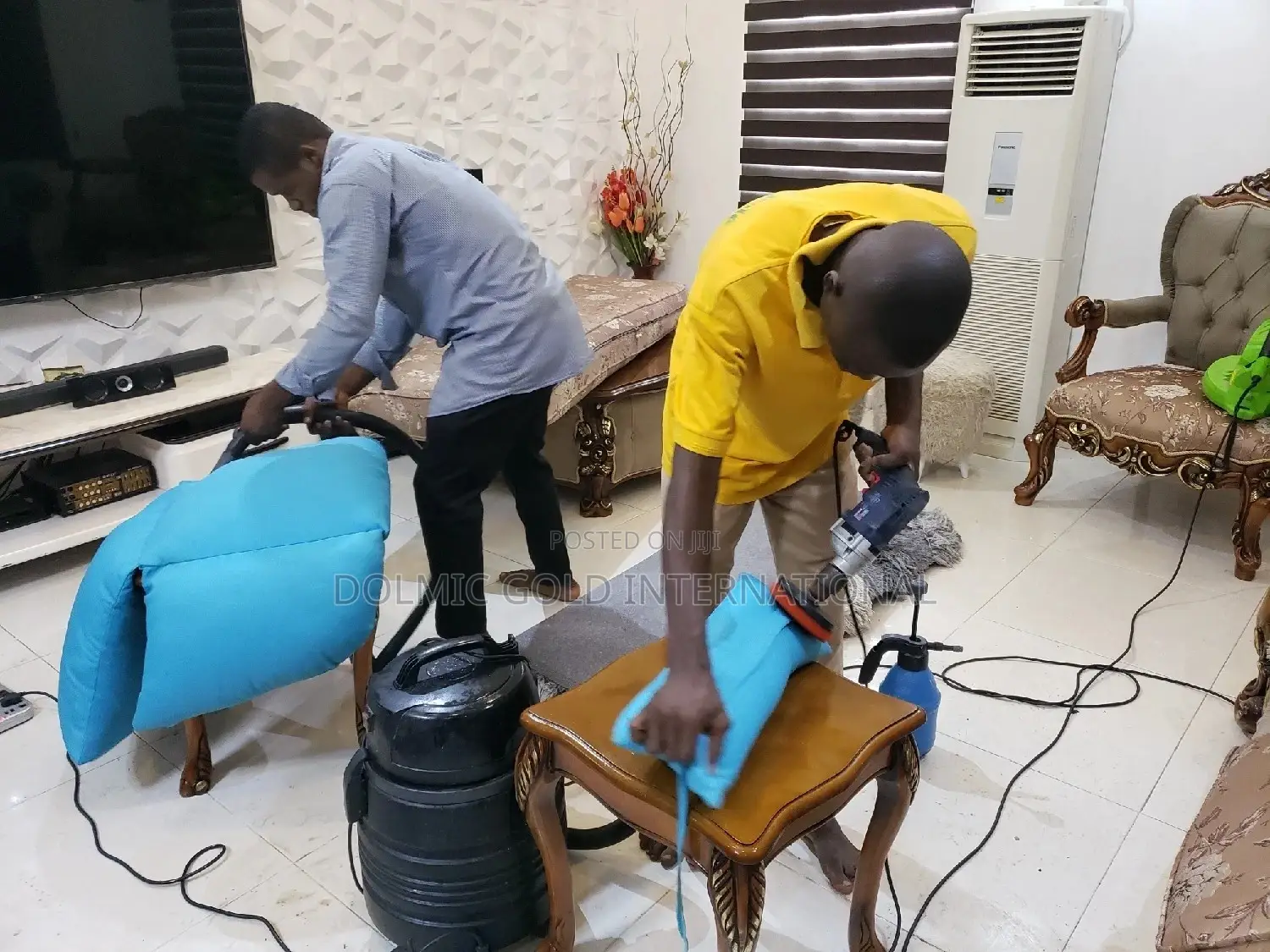 Professional Sofa and Upholstery Cleaners.