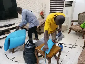 Professional Sofa and Upholstery Cleaners.